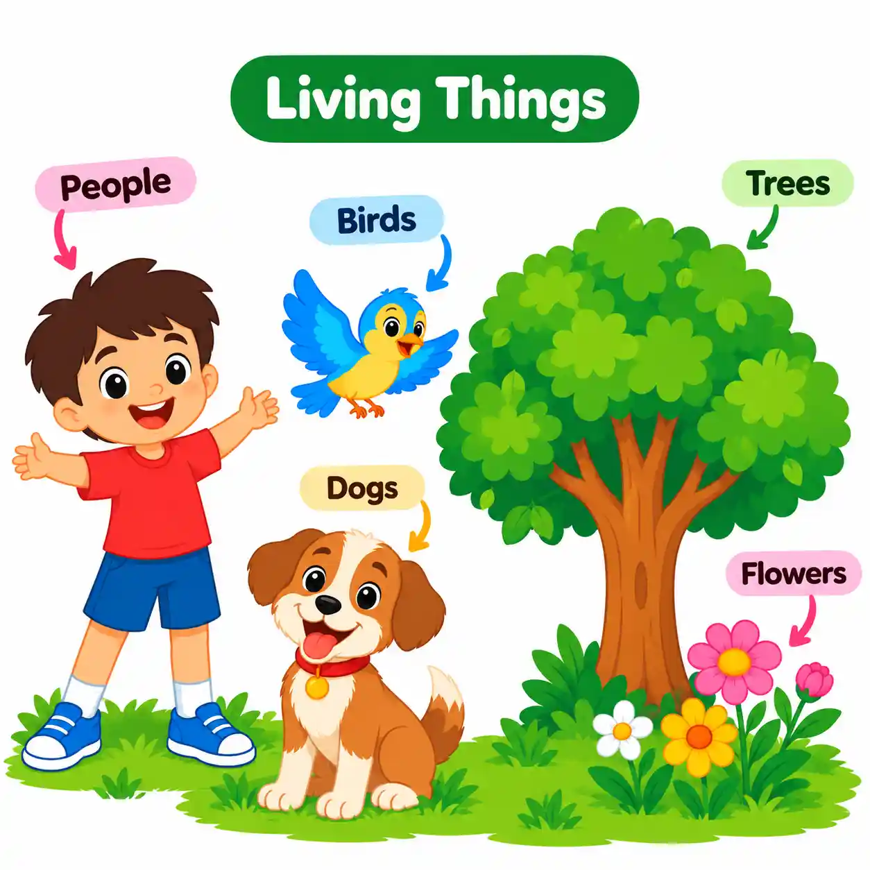 Living and Non-Living Things | Simple Science Guide for Kids - Media 2