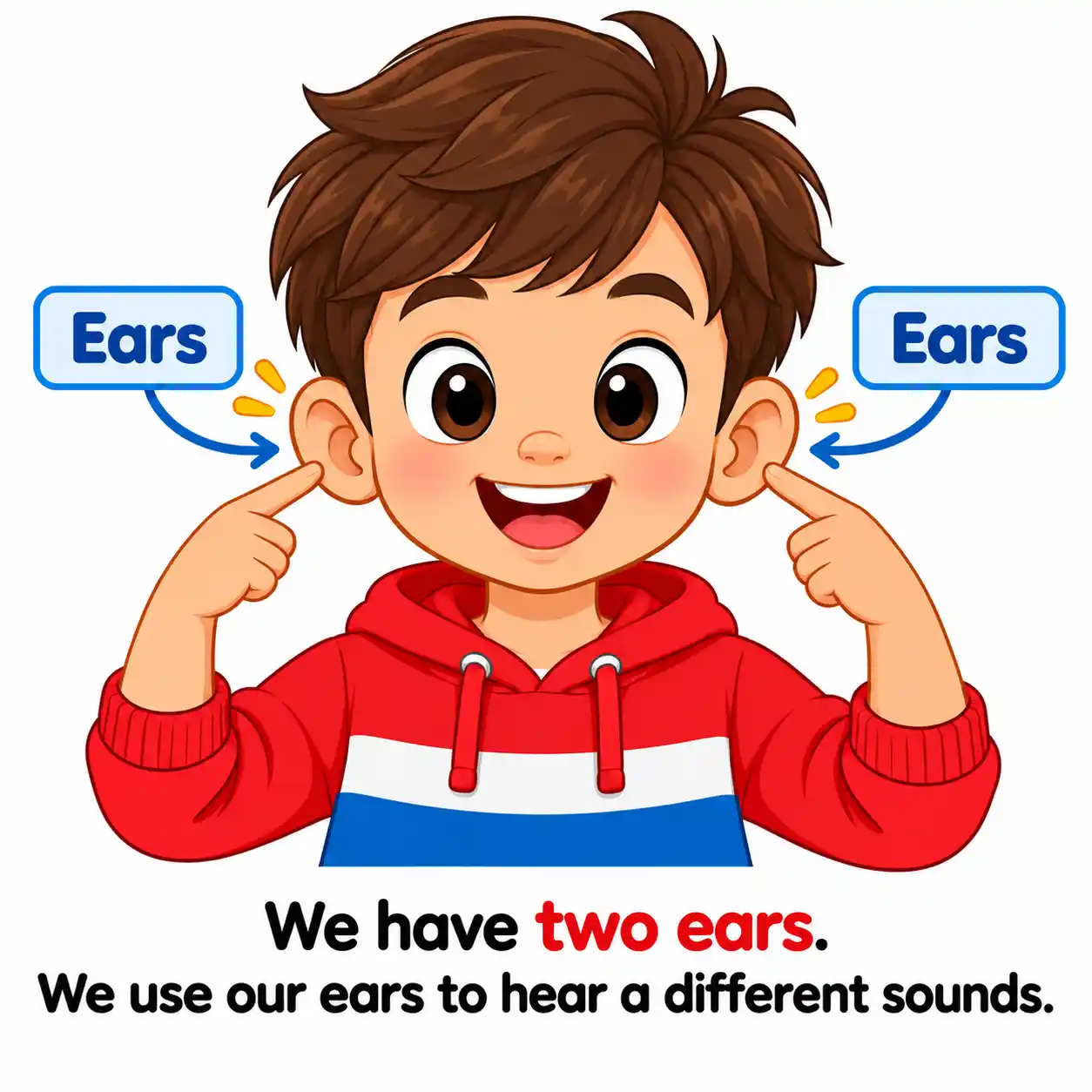 5 Sense Organs | Eyes, Ears, Nose, Tongue & Skin - Media 3