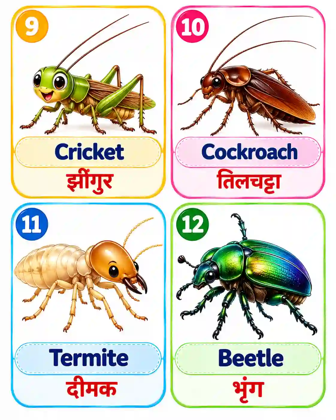 Insects for Kids | Different Types of Insects | Kids Learning - Media 3