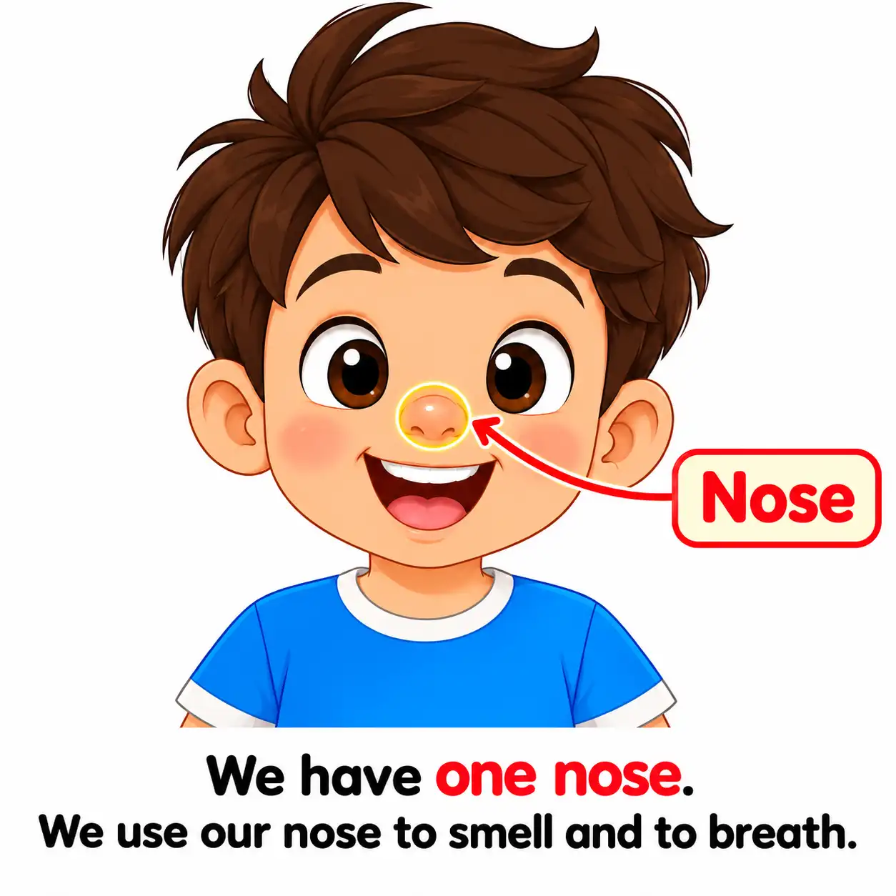 5 Sense Organs | Eyes, Ears, Nose, Tongue & Skin - Media 4
