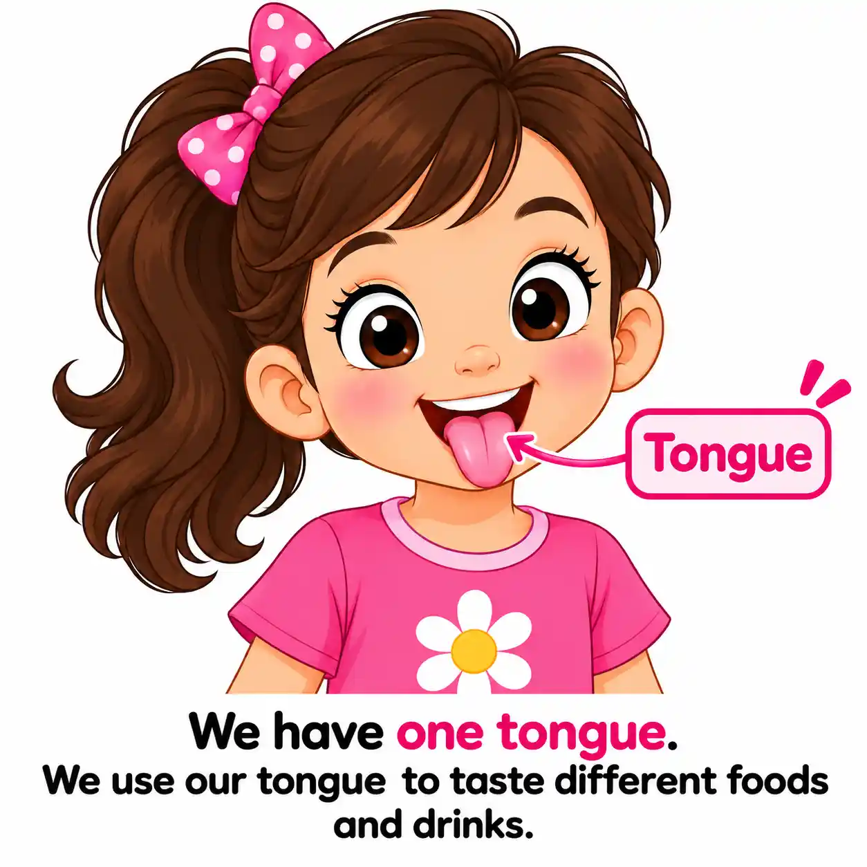 5 Sense Organs | Eyes, Ears, Nose, Tongue & Skin - Media 5