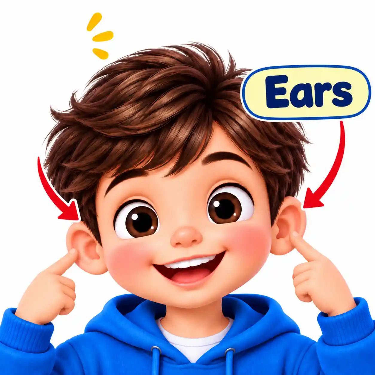 Body Parts Names in English | Learn Human Body Parts with Pictures - Media 8