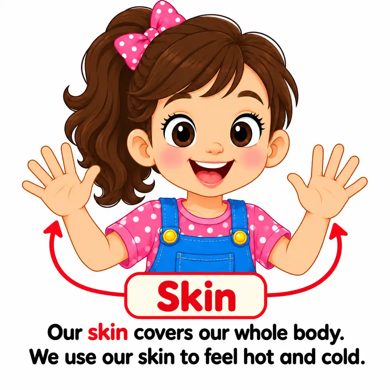 5 Sense Organs | Eyes, Ears, Nose, Tongue & Skin - Media 6