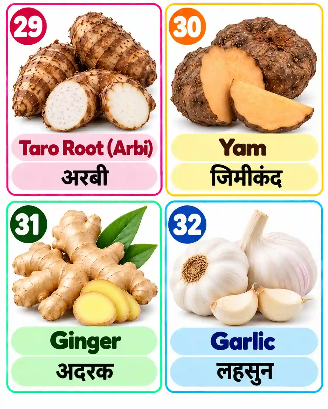 Vegetable Names for Kids | Learn English and Hindi with Pictures - Media 8